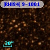 [RHI84]  9-1001