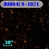 [RHI84]  9-1021