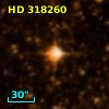 HD 318260