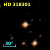 HD 318301