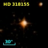 HD 318155