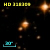 HD 318309