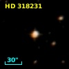 HD 318231