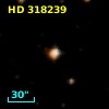 HD 318239