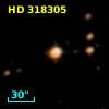 HD 318305