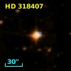 HD 318407