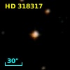 HD 318317
