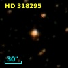 HD 318295