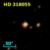 HD 318055