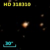 HD 318310