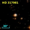 HD 317981