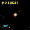 HD 318254