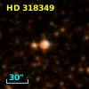 HD 318349