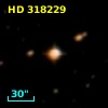 HD 318229