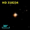 HD 318234