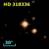 HD 318336