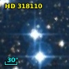 HD 318110