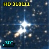 HD 318111