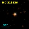 HD 318136