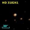HD 318241