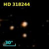 HD 318244