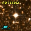 HD 318262