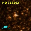 HD 318263