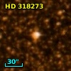 HD 318273