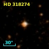 HD 318274