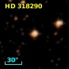 HD 318290
