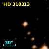 HD 318313