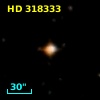HD 318333