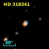 HD 318341