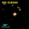 HD 318344