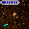 HD 318356