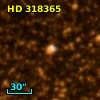 HD 318365
