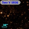 Terz V 1856