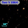 Terz V 1864