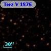 Terz V 1876