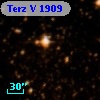 Terz V 1909