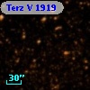 Terz V 1919