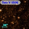 Terz V 1936