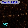 Terz V 1939