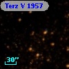 Terz V 1957