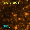Terz V 1975