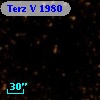 Terz V 1980