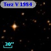 Terz V 1984