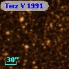 Terz V 1991