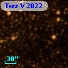 Terz V 2022