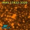 Terz V 2025